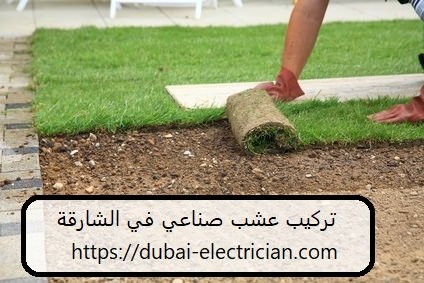 تركيب عشب صناعي في الشارقة